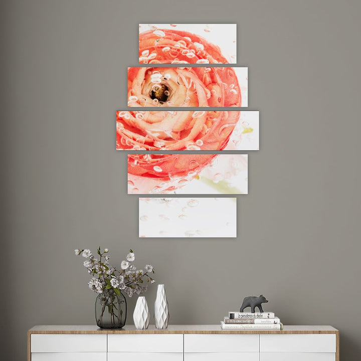 Peach Color