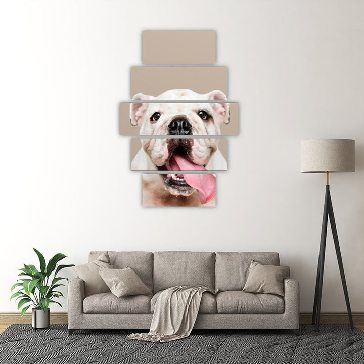 American Bulldog