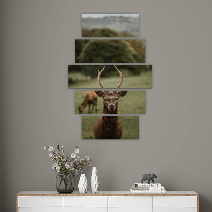 Young Deer