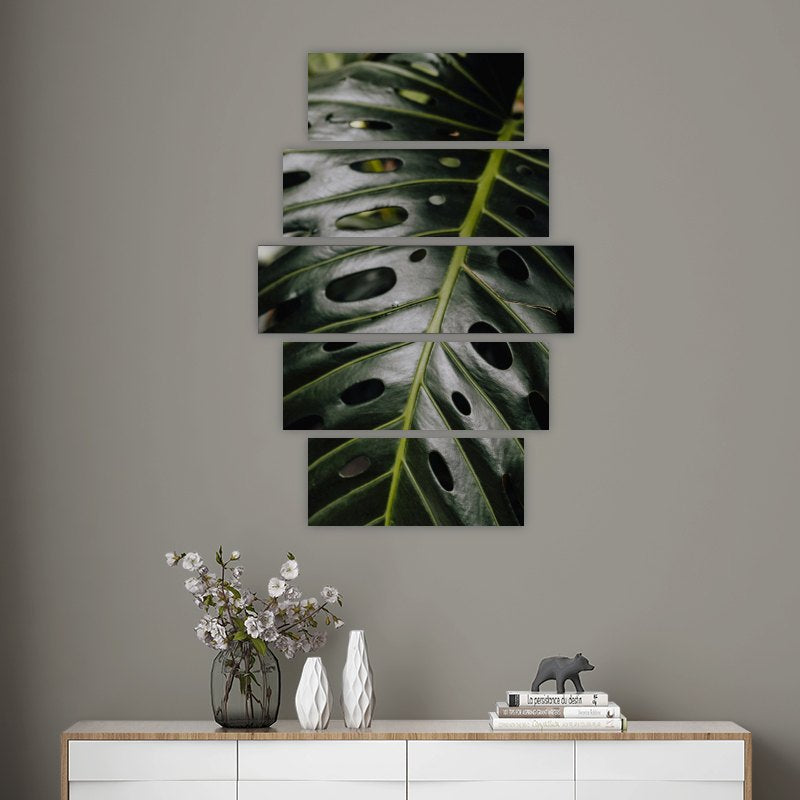 Tropical Leaf