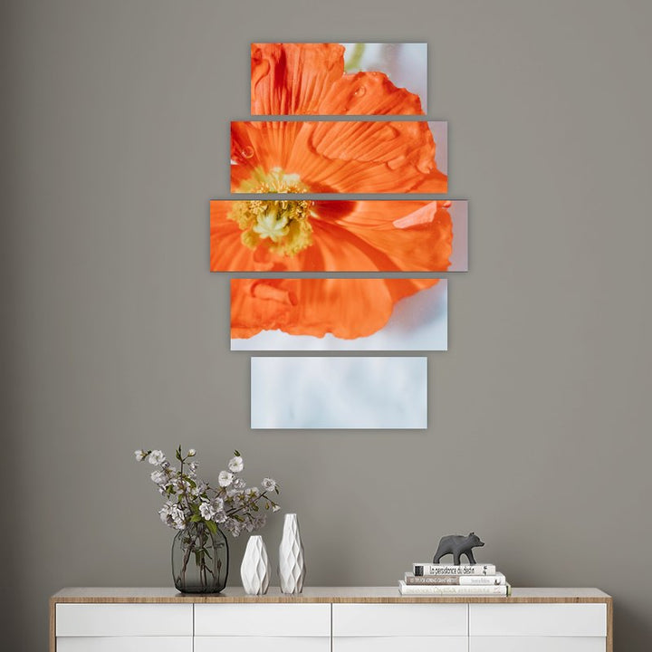 Orange Poppy