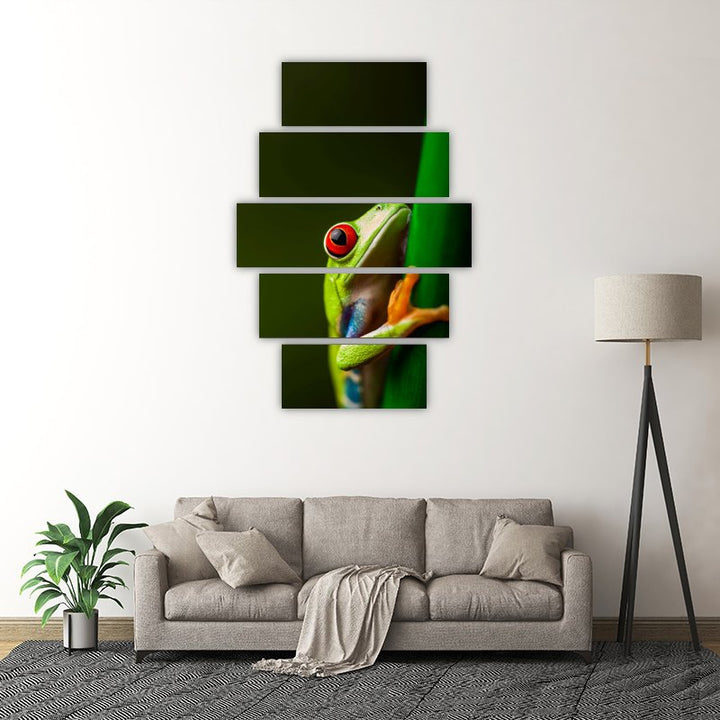 Red-Eyed Tree Frog