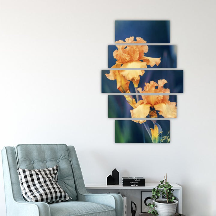 Iris