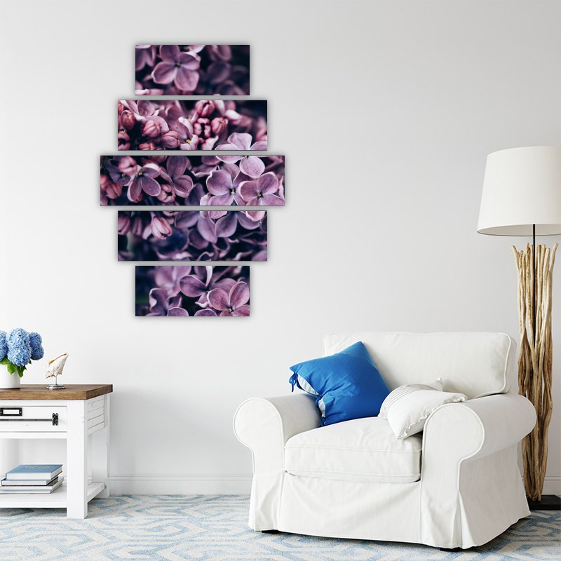 Purple Colors