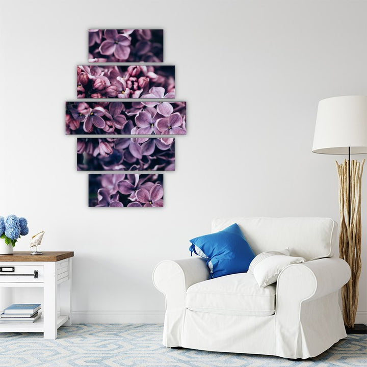 Purple Colors