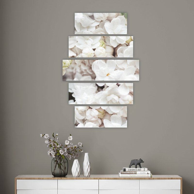 Blooming White Flower