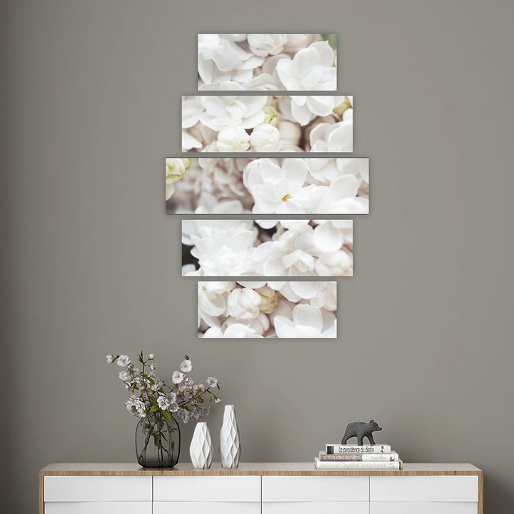 Blooming White Flower