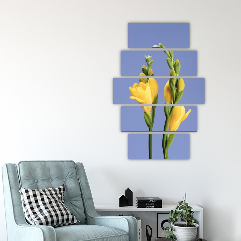 Yellow Freesia