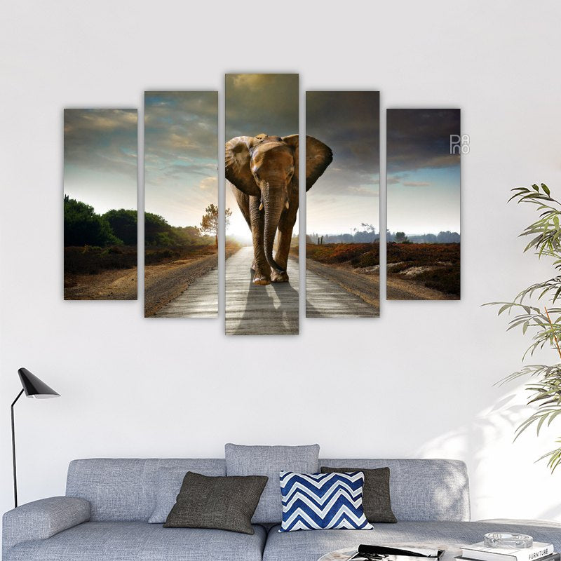 Elephant on the Road