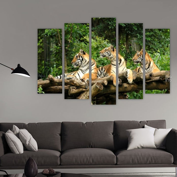 Bengal Tigers