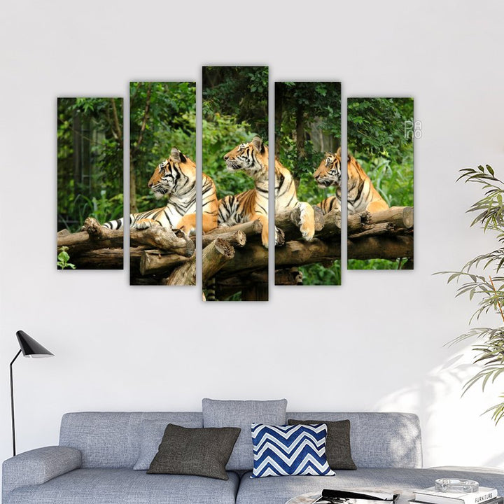 Bengal Tigers