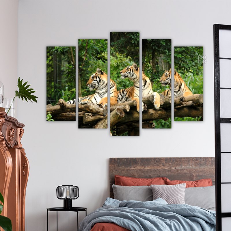 Bengal Tigers