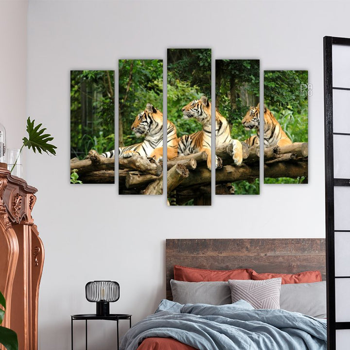 Bengal Tigers