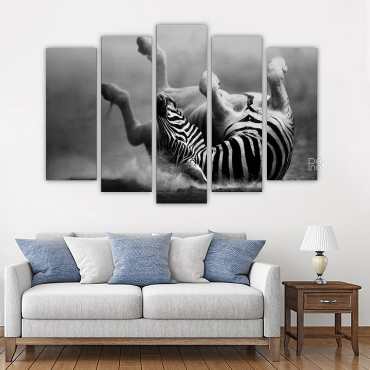 Zebra Rolling in the Dust