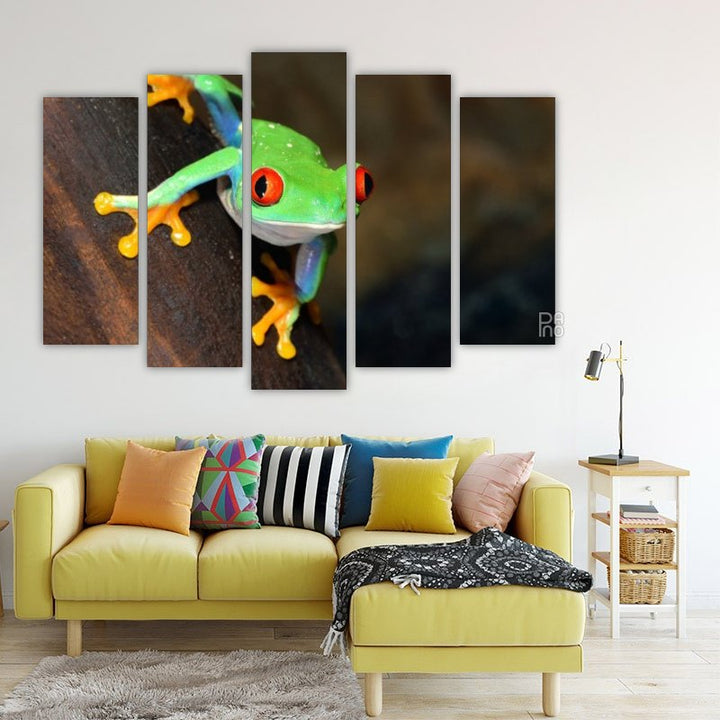 Tree Frog