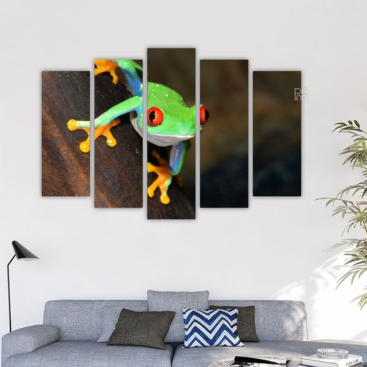 Tree Frog