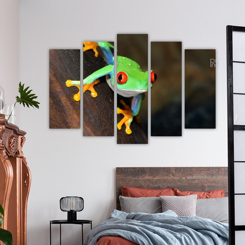 Tree Frog