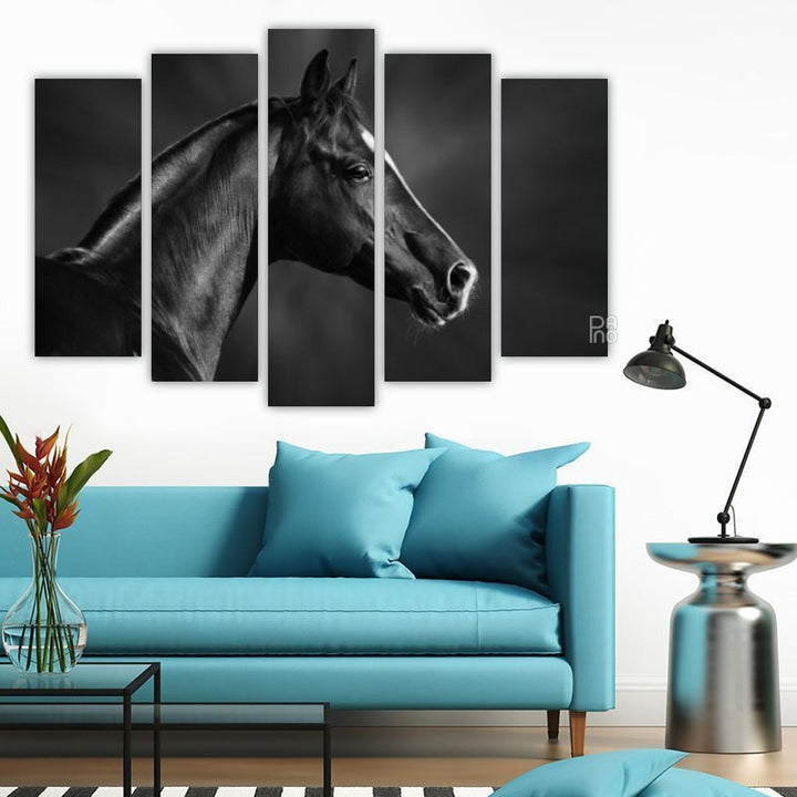Portrait of a Black Arabian Horse