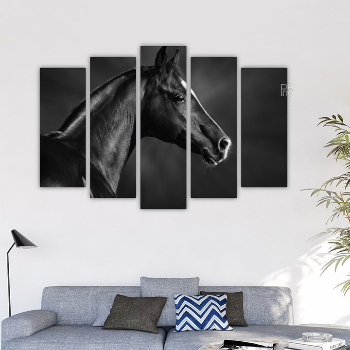 Portrait of a Black Arabian Horse