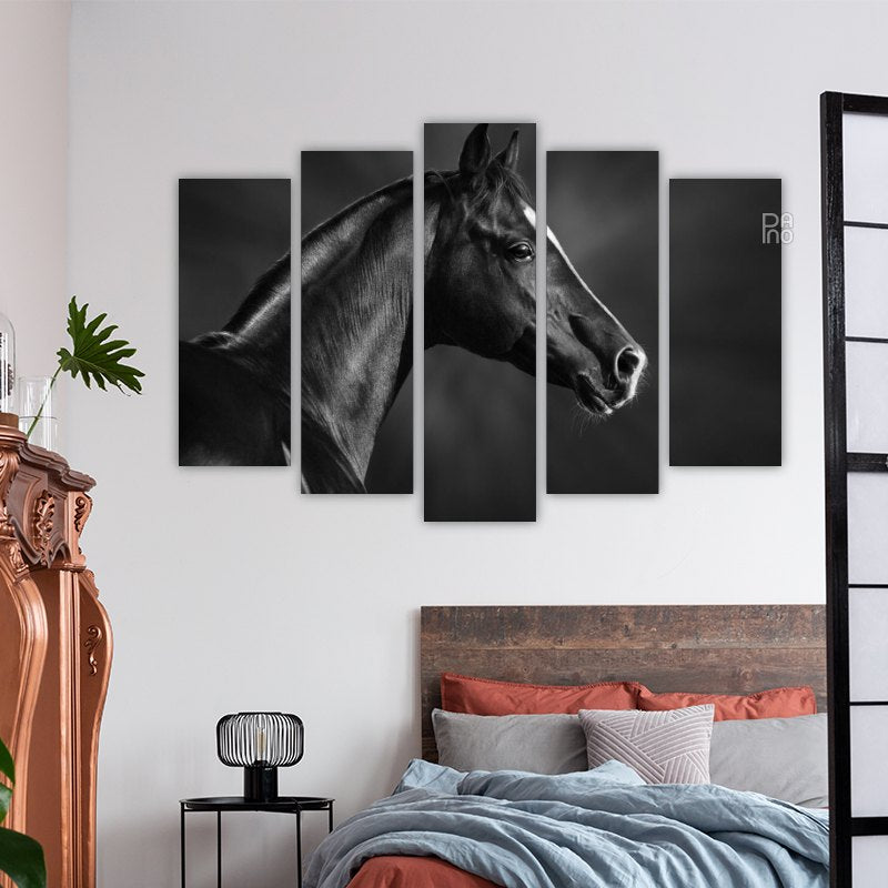 Portrait of a Black Arabian Horse
