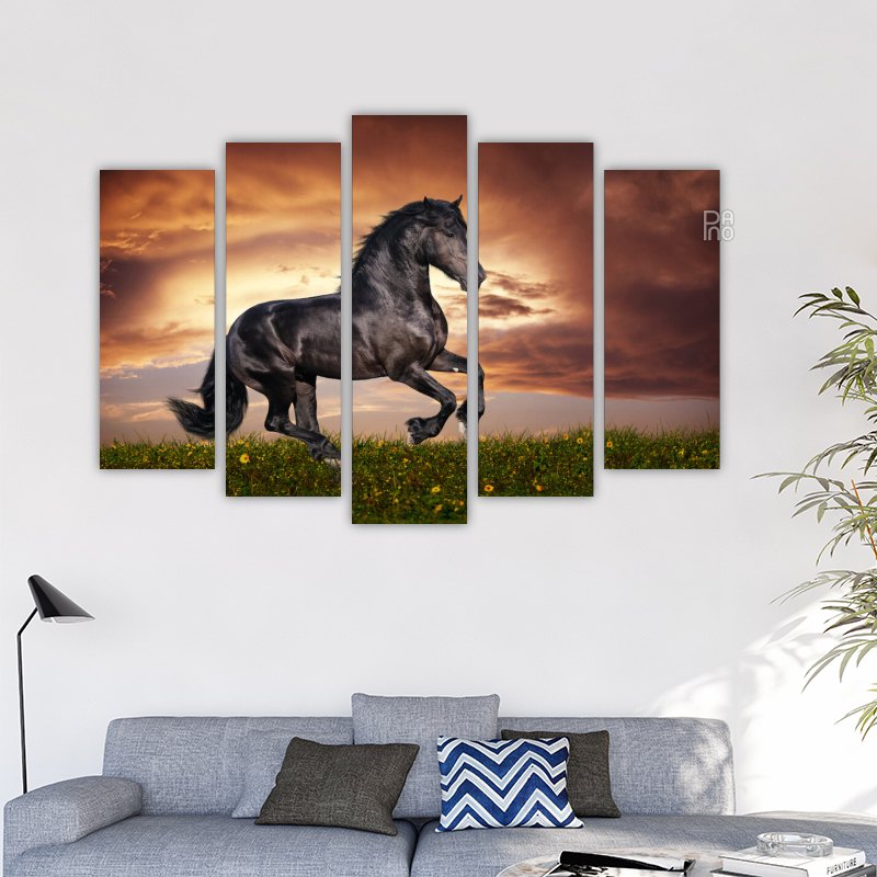 Black Horse Galloping