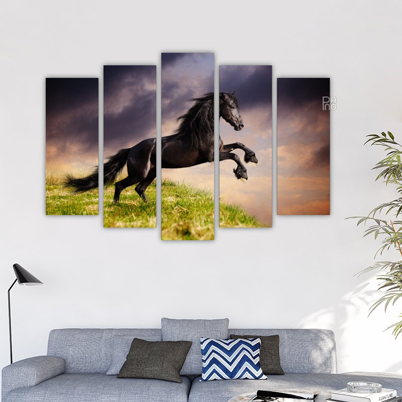 Черен фризийски кон