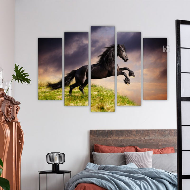 Черен фризийски кон