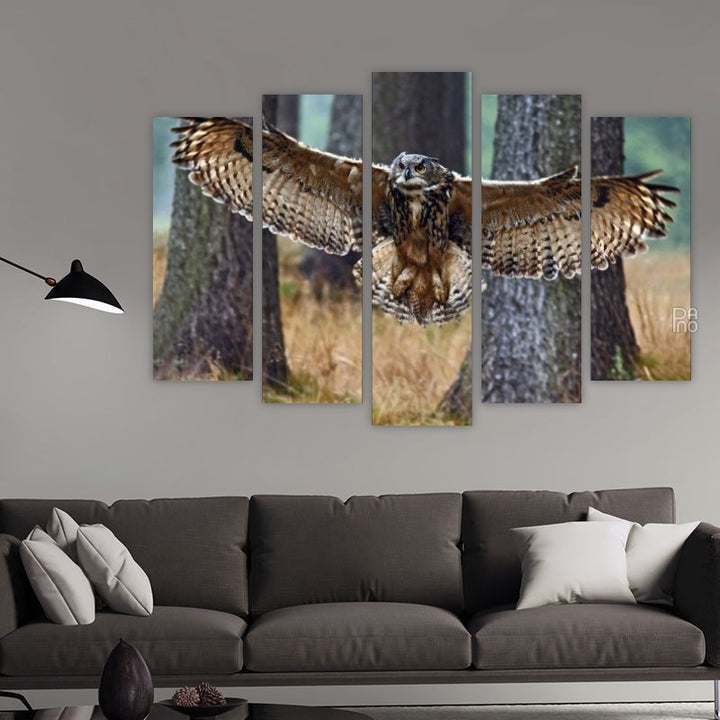 Eurasian Owl