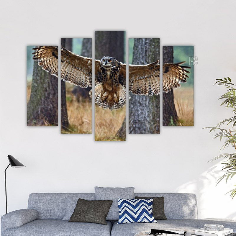 Eurasian Owl