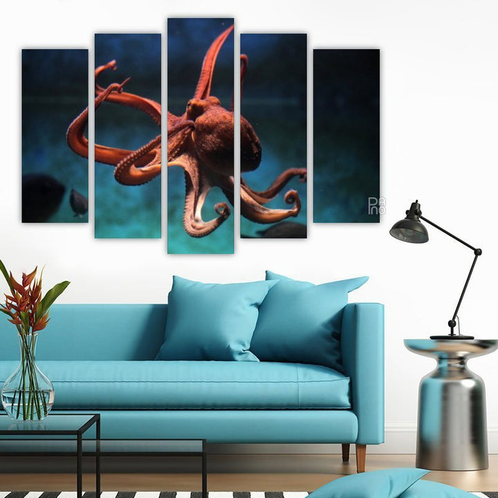 Octopus