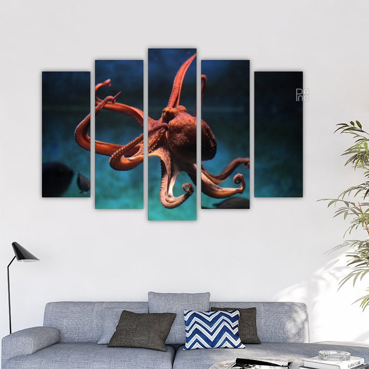 Octopus