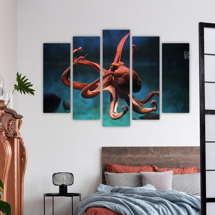 Octopus