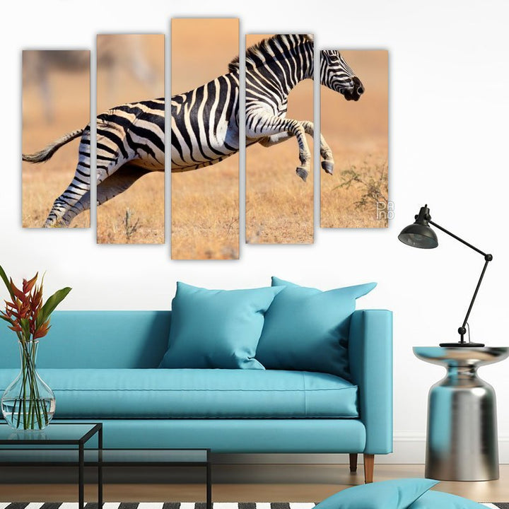 Zebra Running and Jumping
