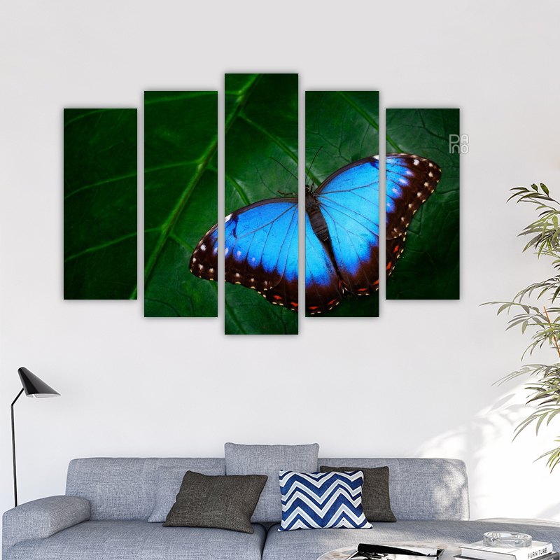 Large Blue Butterfly