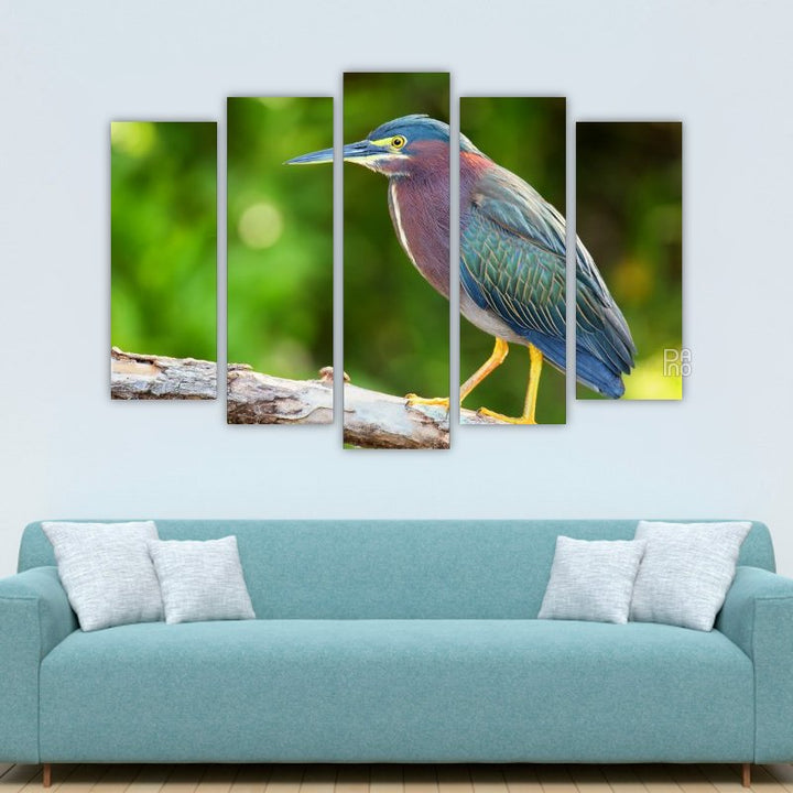 Green Heron Sitting on a Tree