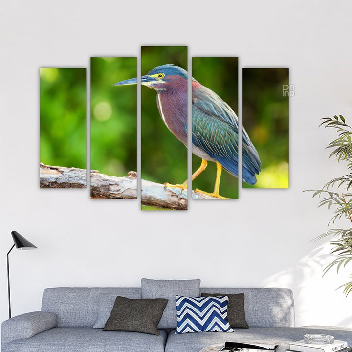 Green Heron Sitting on a Tree