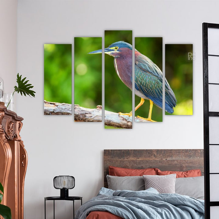 Green Heron Sitting on a Tree
