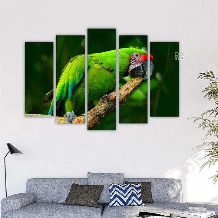 Green Parrot on a Branch