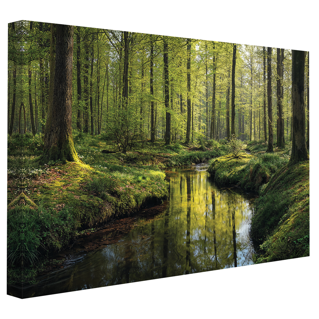 Nature's Heart - Canvas print