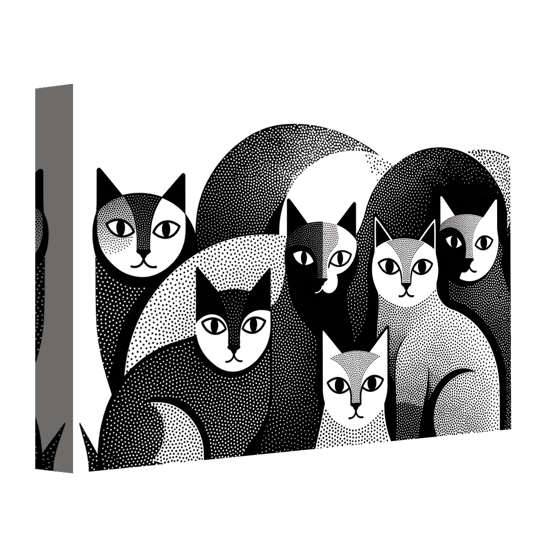Black And White Cats