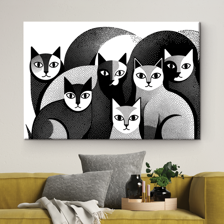 Black And White Cats